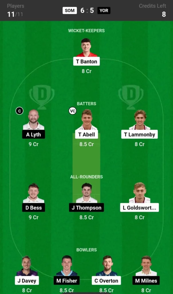 SOM vs YOR Dream11 Team 1st Match